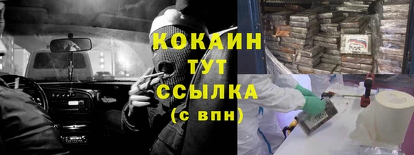 крисы Вяземский